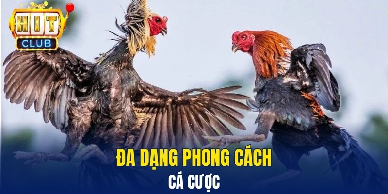 Đa dạng phong cách cá cược